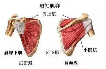 篮球训练一周计划表图片大全_2